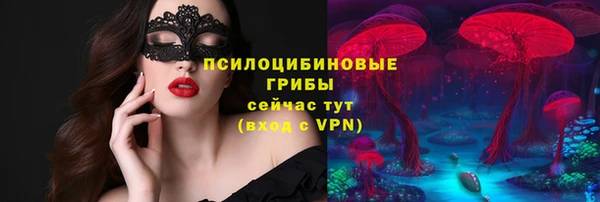 Альфа ПВП Белокуриха